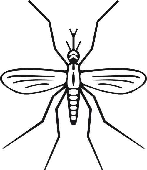 Vabzdys, Maliarija, Uodinys, Kenkėjas, Gyvūnas, Nemokama Vektorinė Grafika