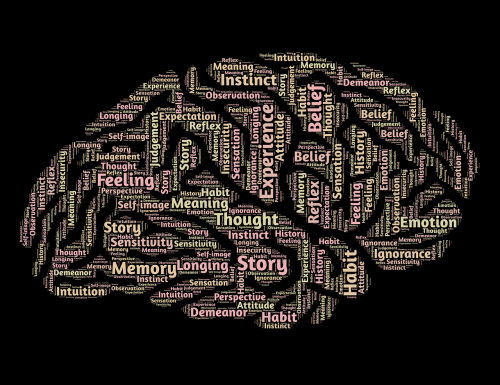 Žvalgyba, Smegenys, Protas, Mąstysena, Tikrovė, Suvokimas, Galvoti, Žinios, Konceptualus, Mąstymas, Tirpalas, Mokymasis, Žmogus, Tapatybė, Asmuo, Asmeninis, Psichologija, Procesas, Koncepcijos, Švietimas, Mintis, Neuronai, Idėjos, Kūrybiškumas