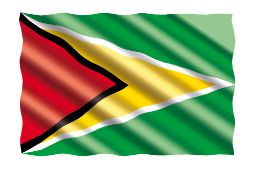 Tarptautinis, Vėliava, Guyana