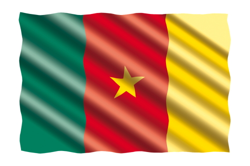 Tarptautinis, Vėliava, Cameroon