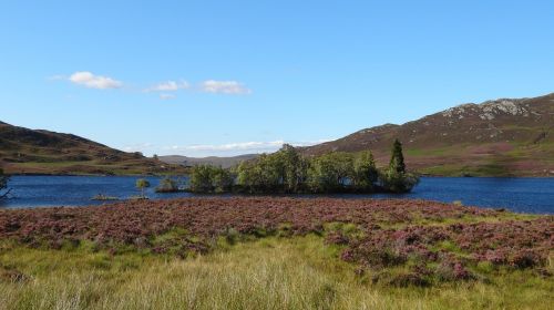 Inverness, Ežeras, Kalnas, Medis Irelands