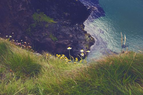 Airija, Jūra, Gėlės, Rokas
