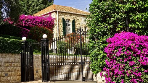 Izraelis, Haifa, Pastatas, Gėlės