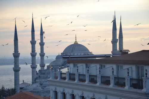 Istanbulas, Mėlyna Mečetė, Turkija, Sultanahmet