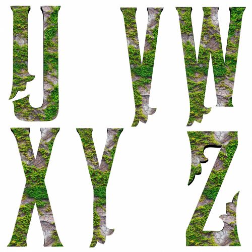 Šriftai,  Abėcėlės,  Žalias,  Ekologinis,  Laiškas,  Ivy Šriftai U-Z