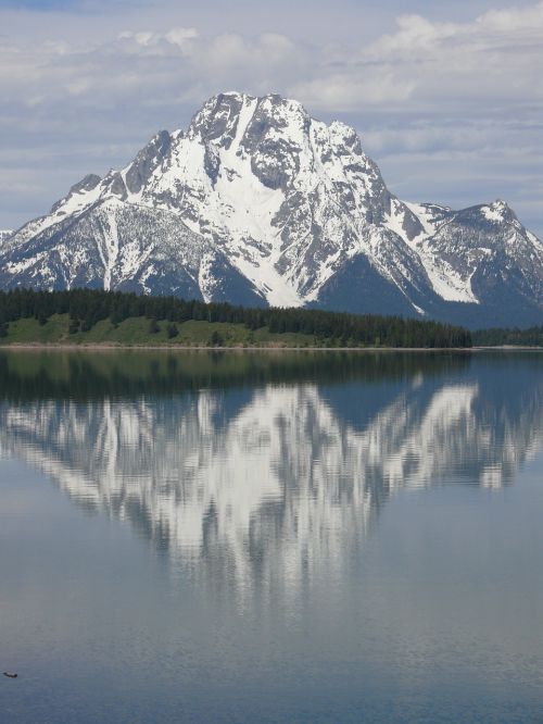 Jackson Lake, Grand Teton, Kalnai, Usa, Kraštovaizdis