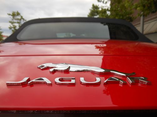 Jaguar, F Tipo, Sportinė Mašina, Kabrioletas, Du Sėdimosios Vietos, Prabanga, Transporto Priemonė, Raudona, Logotipas