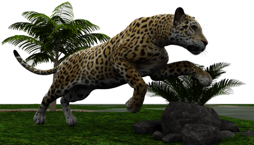 Jaguar, Katė, Wildcat, Plėšrūnas, Pavojingas, Gamta, Gyvūnų Pasaulis
