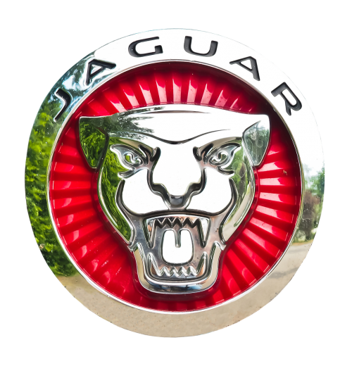 Jaguar, Emblema, Automobilio Prekės Ženklas, Logotipas, Automobiliai, Chromas, Pkw, Edelkarosse, Prabangus Automobilis, Transporto Priemonė, Sidabras, Prabanga, Izoliuotas