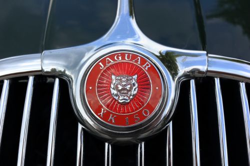 Jaguar, Automobilis, Logotipas, Variklio Gaubtas, Xk150, Xk 150, Ornamentas, Gaubtas, Klasikinis, Automobilis, Chromas, Metalas