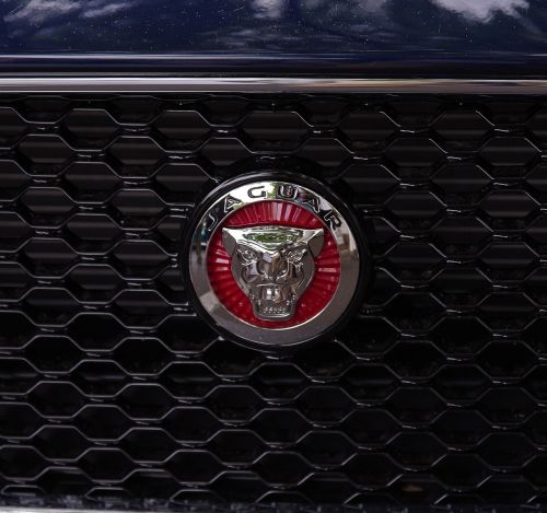 Jaguar,  Automobiliai,  Emblema,  Logotipas,  Grotelės,  Transporto Priemonė,  Automatinis,  Be Honoraro Mokesčio