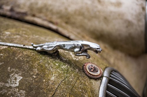 Jaguar,  Klasikinis Automobilis,  Oldtimer,  Retro,  Istoriškai,  Sportinė Mašina,  Anglija