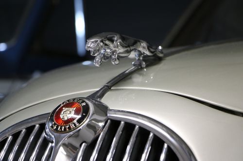 Jaguar, Automobilis, Emblema, Ženklas