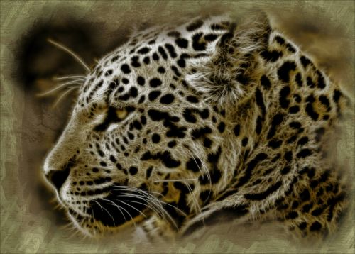 Jaguar, Laukinis Katinas, Gyvūnas, Žinduolis, Poilsio, Laukinis Gyvenimas, Laukinės Gamtos Plėšrūnas, Laukimas, Kompiuterinė Grafika, Meno Kūriniai, Skaitmeninis, Grafika, Dizainas, Tekstūra