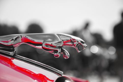 Jaguar, Gaubtas, Automobilis, Pinigai, Ornamentas, Raudona