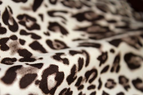 Jaguar,  Tekstilė,  Audinys,  Fonas,  Safari,  Jaguar & Nbsp,  Tekstilės & Nbsp,  Fonas,  Jaguaro Tekstilės Fonai 5
