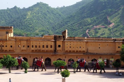 Jaipur Fort, Drambliai, Architektūra, Rajasthan, Gintaras, Tvirtovė, Jaipur, Indija, Fortas, Papuoštas Dramblys