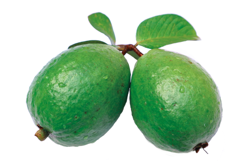 Jambu, Guava, Lapai, Žalias, Gvajavos Png