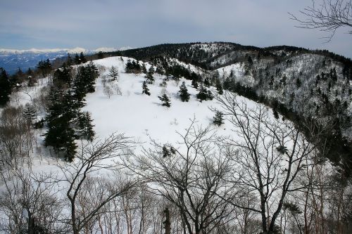 Japonija, Kalnai, Sniegas, Žiema, Miškas, Medžiai, Kraštovaizdis, Vaizdingas, Gamta, Lauke, Kaimas