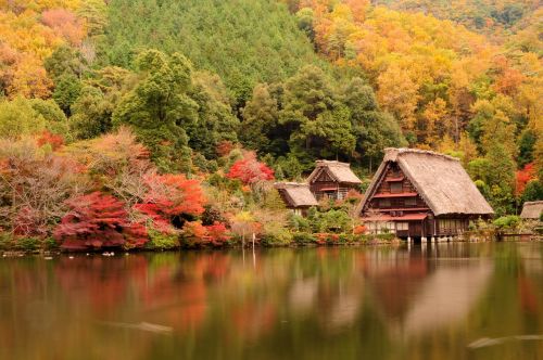 Japonija, Tradicinis Namas, Ežeras, Tvenkinys, Asija, Turizmas, Ruduo