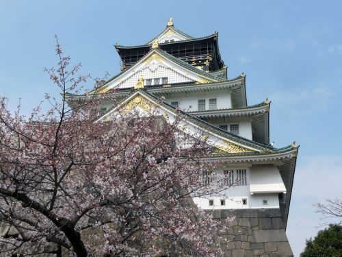 Japonija, Osaka, Pilis, Chuo-Ku, Orientyras, Pavasaris, Sakura, Gėlė