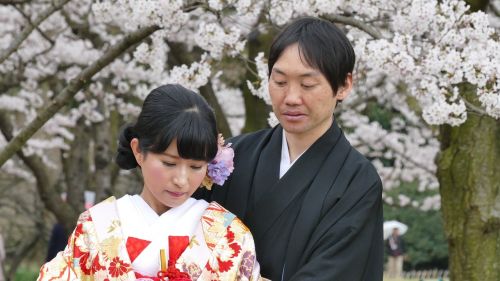 Japonija, Vestuvės, Pavasaris, Sakura