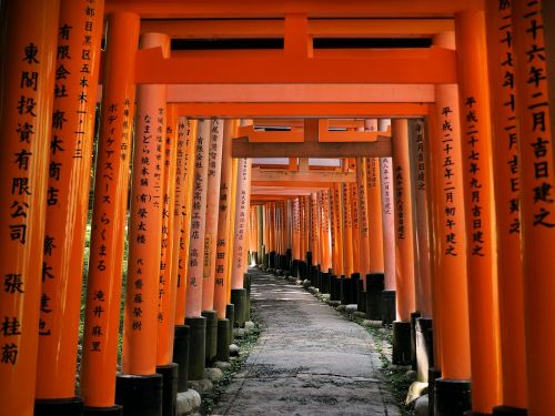 Japonija, Kyoto, Šventykla, Shinto