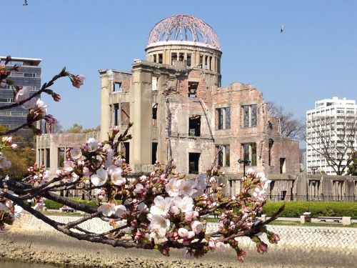 Japonija, Hiroshima, Vyšnių Žiedų, Sakura, A-Bombų Kupolas, Taika, Vyšnia