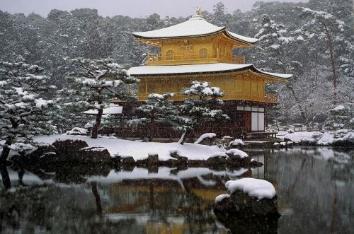 Japonija, Šventykla, Sniegas, Sniegas, Religija, Tikėjimas, Žiema, Tvenkinys, Vanduo, Medžiai