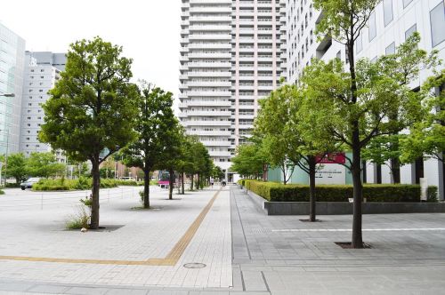 Japonija,  Shinagawa,  Prekybos Centras,  Gatvė,  Medžiai,  Žalias