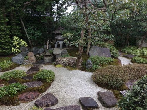 Japoniškas Sodas, Sodas, Japonija, Japanese, Akmuo, Meditacija, Botanikos, Lauke