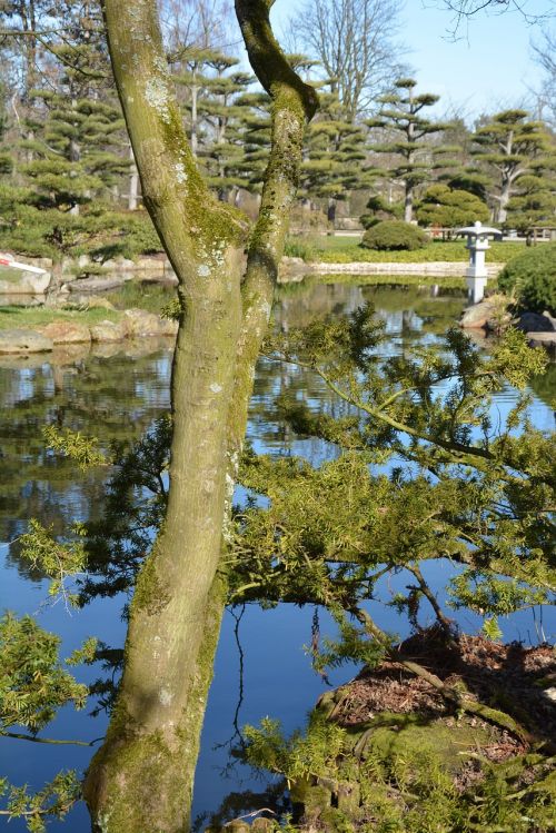 Japoniškas Sodas, North Park, Diuseldorfas, Tvenkinys, Gamta