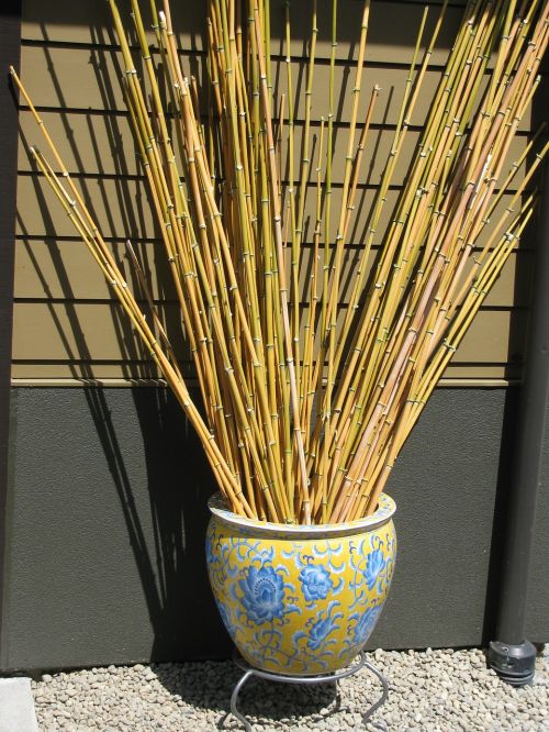 Japoniškas Sodas, Kraštovaizdis, Bambukas, Zen