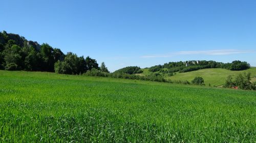 Jerzmanowice, Lenkija, Kraštovaizdis, Gamta, Žalias, Akmenys