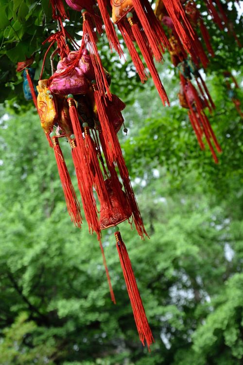 Jin-Li, Nori Medis, Raudona, Maišas