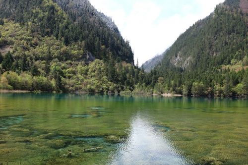 Jiuzhaigou, Ežeras, Sichuanas, Kinija, Kraštovaizdis