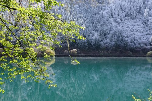 Jiuzhaigou, Ežeras, Sichuanas, Kinija, Kraštovaizdis