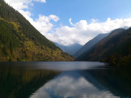 Jiuzhaigou, Sichuanas, Lazdynas