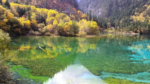 Jiuzhaigou, Prieš Žemės Drebėjimą, Kraštovaizdis, Ruduo, Miškas, Ežeras, Švarus
