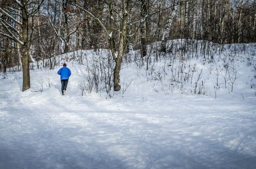 Bėgiojimas, Žiema, Sniegas, Medis, Gamta
