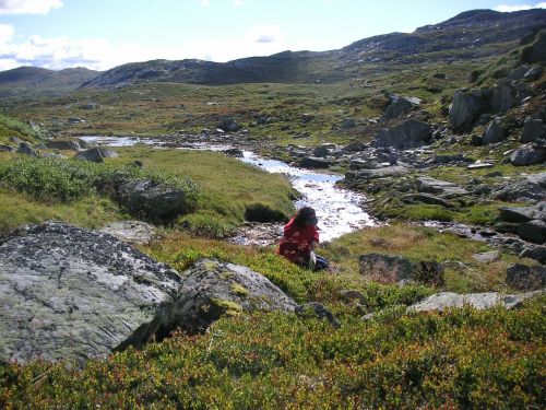 Jotunheimen, Gerin, Mėlynieji