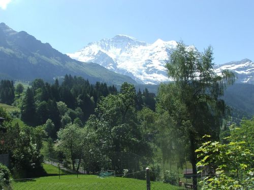 Jungfrau, Kalnas, Vasara, Wengen, Šveicarija, Alpės