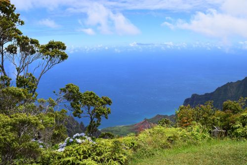 Kalalaus Lookout,  Kauai,  Be Honoraro Mokesčio