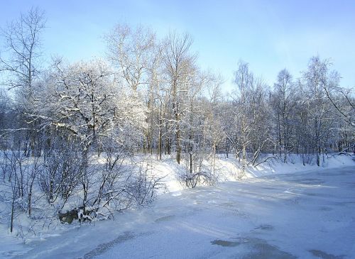 Karelija, Karelijos Prigimtis, Žiema, Žiemos Peizažas, Žiemos Miškas, Žiemos Upė, Švarus Dangus, Mėlynas Dangus
