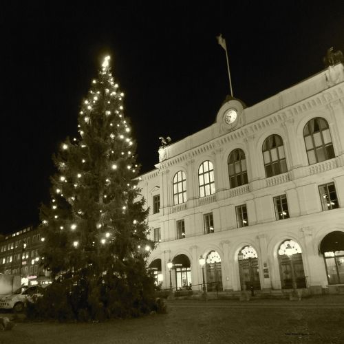 Kalėdos,  Medis,  Karlstado Kalėdų Laikas