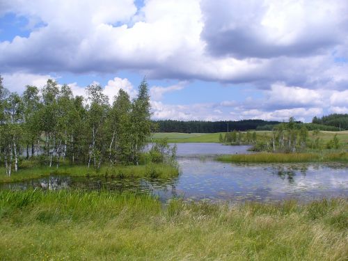 Kaszuby, Pavasaris, Vanduo, Tvenkinys