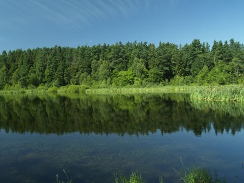 Kaszuby, Ežeras, Miškas, Lenkija, Kraštovaizdis, Atspindys