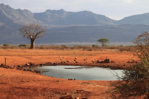 Kenya, Tsavo Vakarai, Vandens Skylė