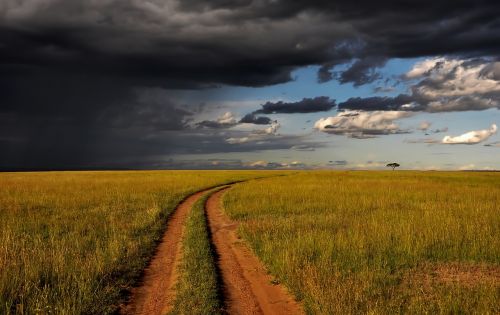 Kenya, Afrika, Kraštovaizdis, Dangus, Debesys, Saulėlydis, Dusk, Gamta, Lauke, Šalis, Kaimas