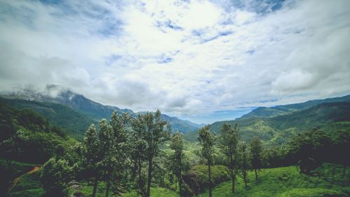 Kerala, Gamta, Žalias, Kraštovaizdis, Munnar, Peizažas, Kalnas, Lauke, Kelionė